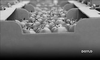 Consumo de alimentos: como o IPC orienta empresas do segmento