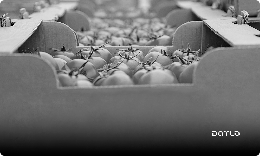 capa-consumo-de-alimentos-ipc