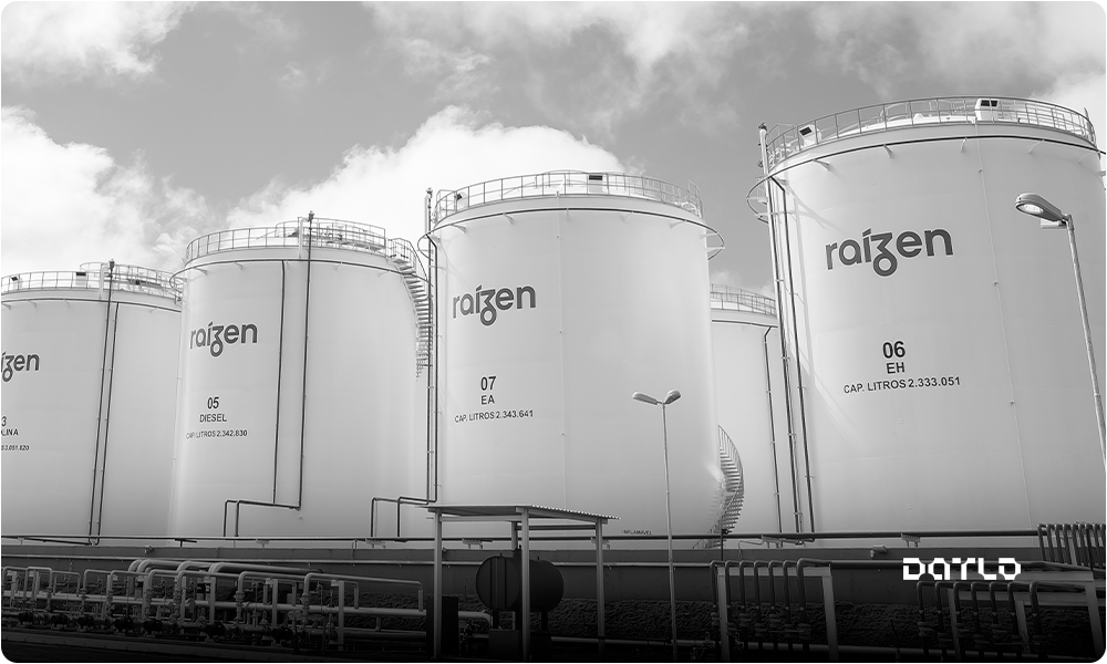 capa-datlo-inova-com-ferramenta-de-geomarketing-na-raizen