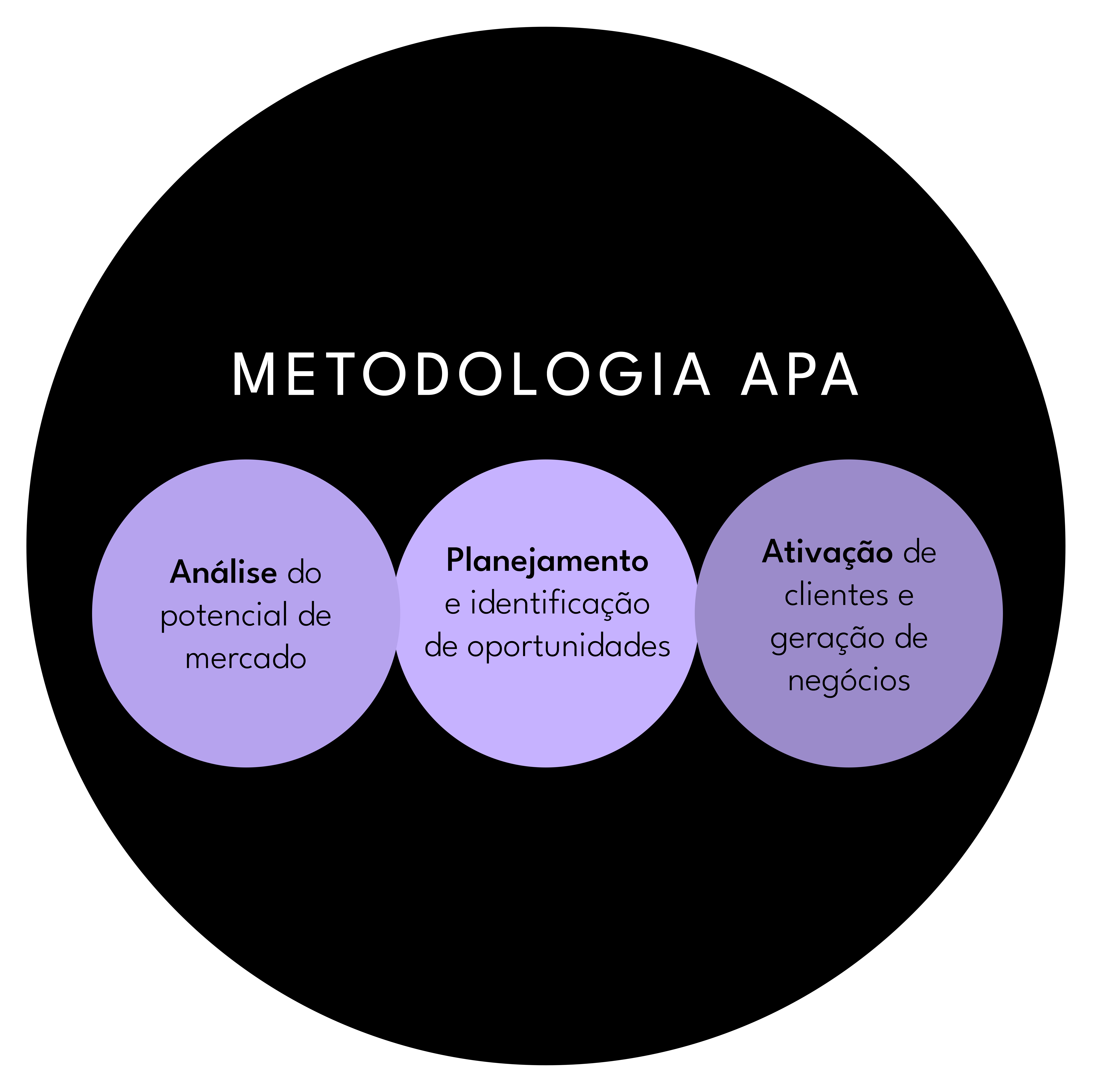 metodologia-apa-inteligencia-geografica-datlo-estrategia-comercial